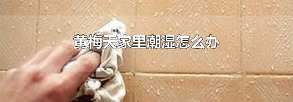 黄梅天家里潮湿怎么办