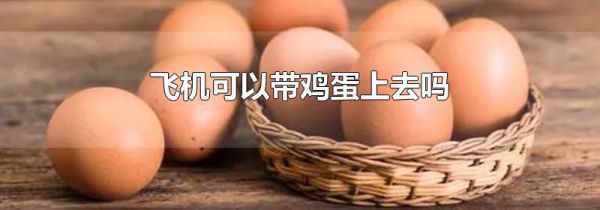 飞机可以带鸡蛋上去吗