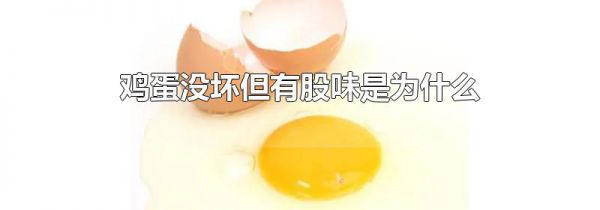 鸡蛋没坏但有股味是为什么