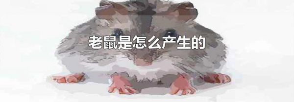 老鼠是怎么产生的