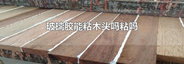 玻璃胶能粘木头吗粘吗