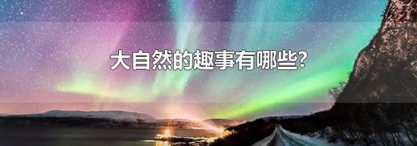 大自然的趣事有哪些?