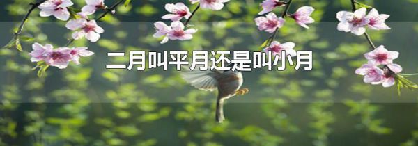 二月叫平月还是叫小月