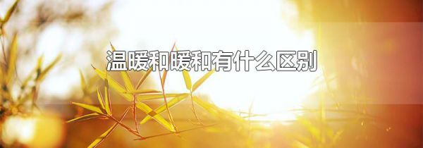 温暖和暖和有什么区别