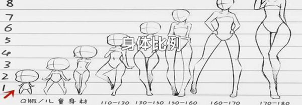 身体比例