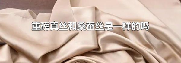 重磅真丝和桑蚕丝是一样的吗