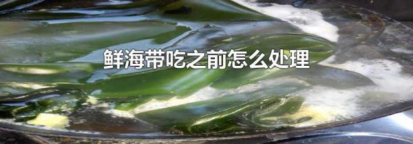 鲜海带吃之前怎么处理
