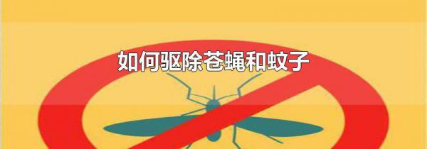 如何驱除苍蝇和蚊子