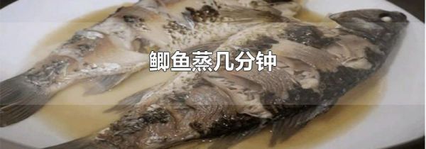 鲫鱼蒸几分钟