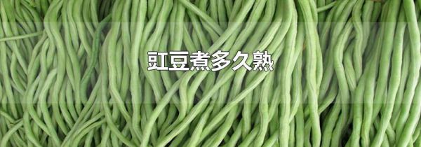 豇豆煮多久熟