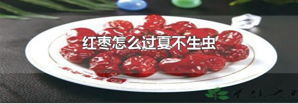 红枣怎么过夏不生虫