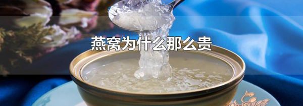 燕窝为什么那么贵