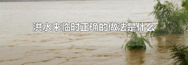 洪水来临时正确的做法是什么