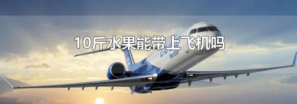 10斤水果能带上飞机吗