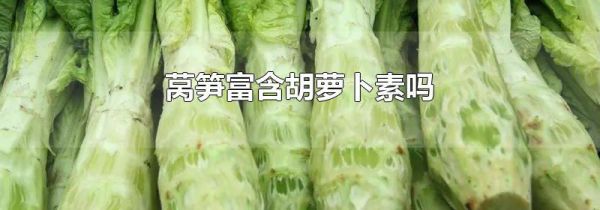 莴笋富含胡萝卜素吗