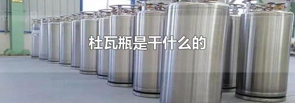 杜瓦瓶是干什么的