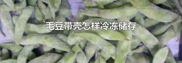 毛豆带壳怎样冷冻储存