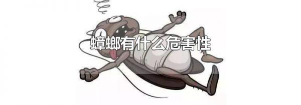 蟑螂有什么危害性
