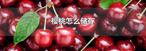 樱桃怎么储存