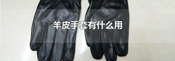 羊皮手套有什么用