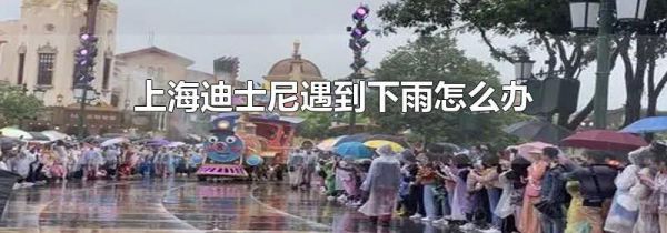 上海迪士尼遇到下雨怎么办