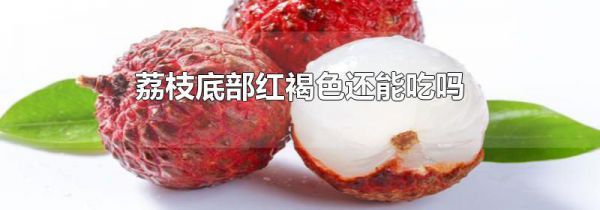 荔枝底部红褐色还能吃吗