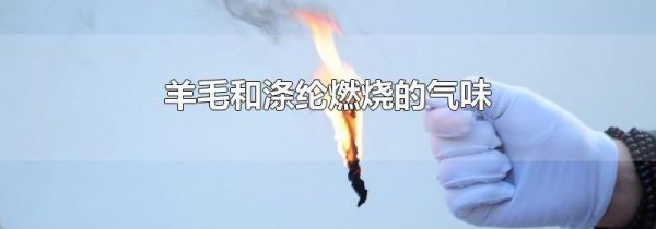 羊毛和涤纶燃烧的气味