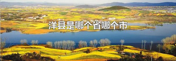 洋县是哪个省哪个市