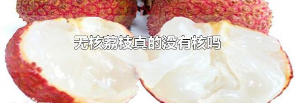 无核荔枝真的没有核吗