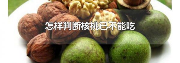 怎样判断核桃已不能吃