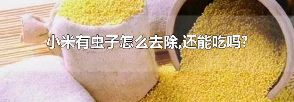 小米有虫子怎么去除,还能吃吗?