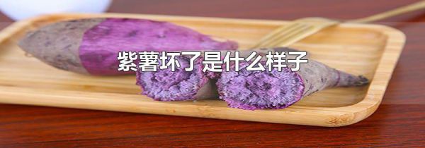 紫薯坏了是什么样子