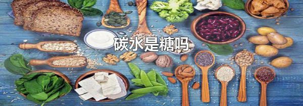 碳水是糖吗