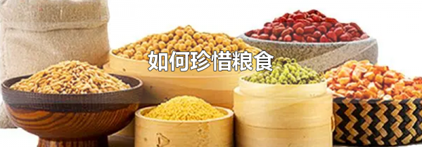 如何珍惜粮食