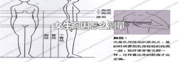 女生胸围怎么测量