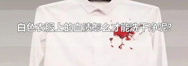 白色衣服上的血渍怎么才能洗干净呢?