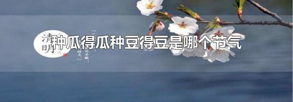 种瓜得瓜种豆得豆是哪个节气