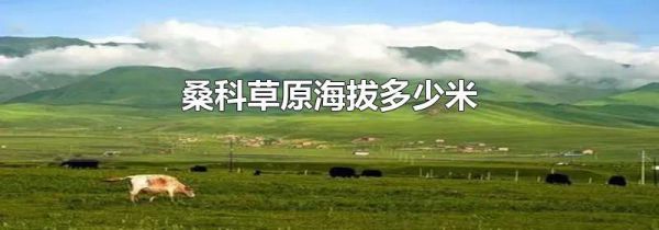 桑科草原海拔多少米