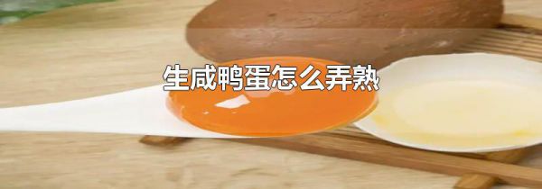 生咸鸭蛋怎么弄熟