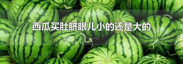 西瓜买肚脐眼儿小的还是大的