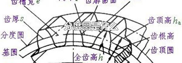 分度圆是什么
