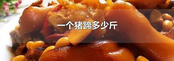 一个猪蹄多少斤