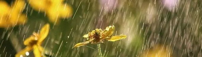 春雨像什么的比喻句有哪些？