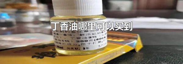 丁香油哪里可以买到