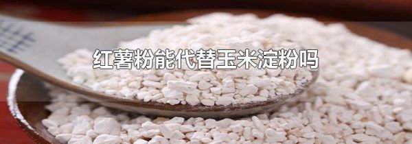 红薯粉能代替玉米淀粉吗