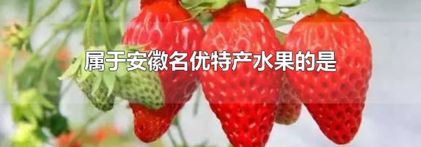 属于安徽名优特产水果的是