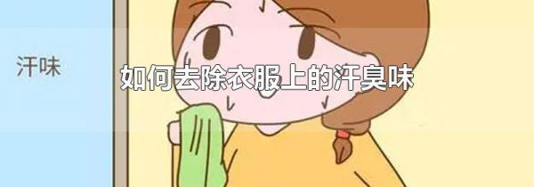 如何去除衣服上的汗臭味