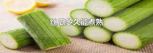 丝瓜多久能煮熟