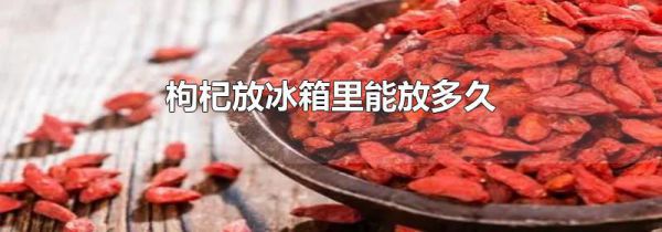 枸杞放冰箱里能放多久