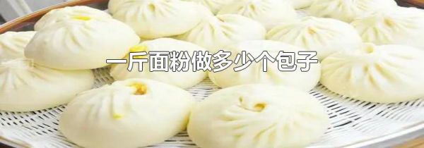 一斤面粉做多少个包子